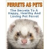 Thumbnail Ferrets As Pets : The Secrets To A Healthy Pet Ferret